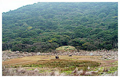 向天池